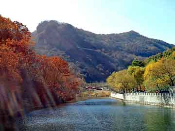澳門一碼一碼100準(zhǔn)確，澳門一碼精準(zhǔn)預(yù)測