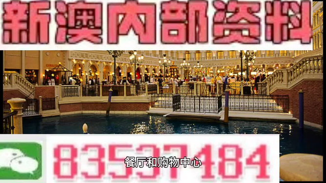 新門內(nèi)部資料精準(zhǔn)大全，新門內(nèi)部資料精準(zhǔn)大全揭秘