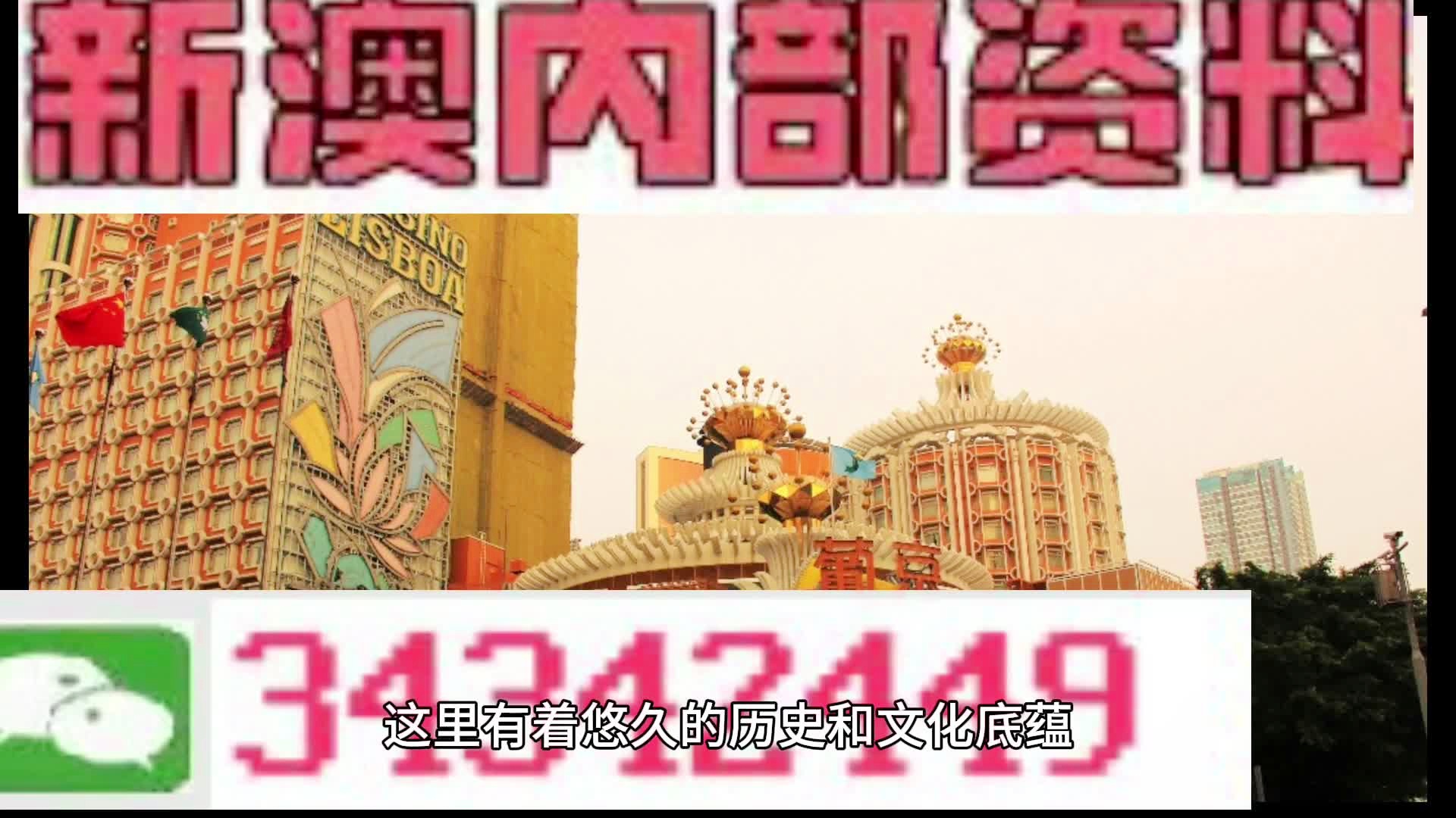 澳門最精準(zhǔn)免費(fèi)資料大全特色，澳門最全免費(fèi)資料大全特色解析
