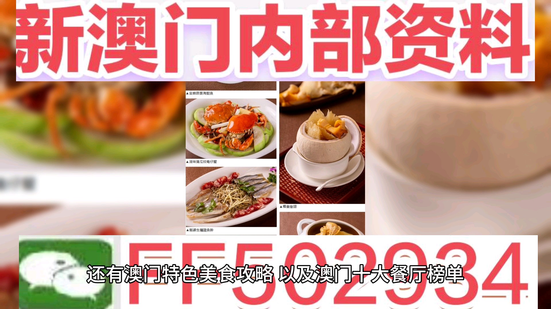 2025新澳門天天開好彩,實地數(shù)據(jù)解釋定義_32