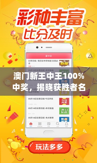 揭秘新澳門(mén)王中王，100%期期中背后的秘密，揭秘新澳門(mén)王中王期期中秘密大揭秘