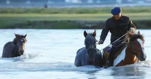 今晚澳門特馬開什么今晚四不像，澳門特馬今晚開獎(jiǎng)結(jié)果及四不像分析