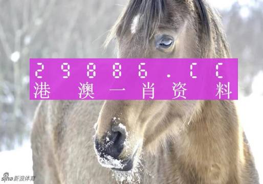 澳門一肖一碼，揭秘背后的秘密與真相，澳門一肖一碼揭秘背后的秘密真相大揭秘