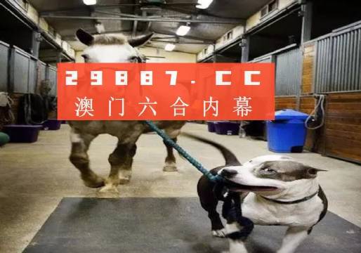 澳門一肖一碼一必中，同舟共濟向前行，澳門一肖一碼必中，同舟共濟向前行