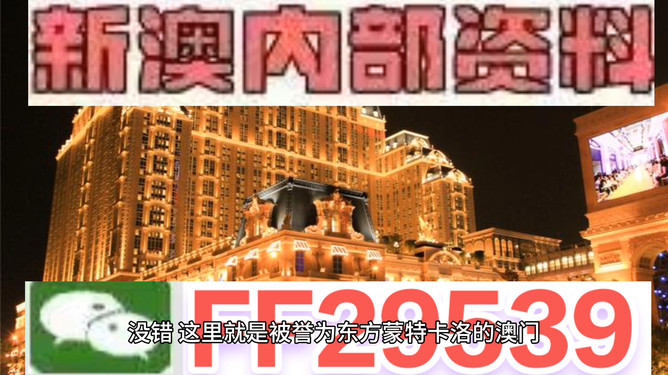 探索未來，2025年澳門特馬之夜，探索未來，澳門特馬之夜 2025展望