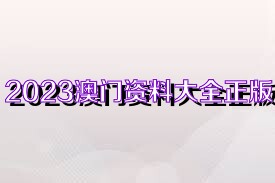 2025年是澳門(mén)正版資料大全，澳門(mén)正版資料大全 2025年概覽