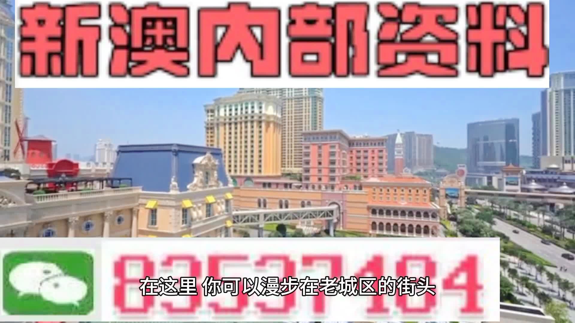 新澳門精準四肖期期準，探索博彩文化的魅力，澳門博彩文化探索，精準四肖的魅力所在