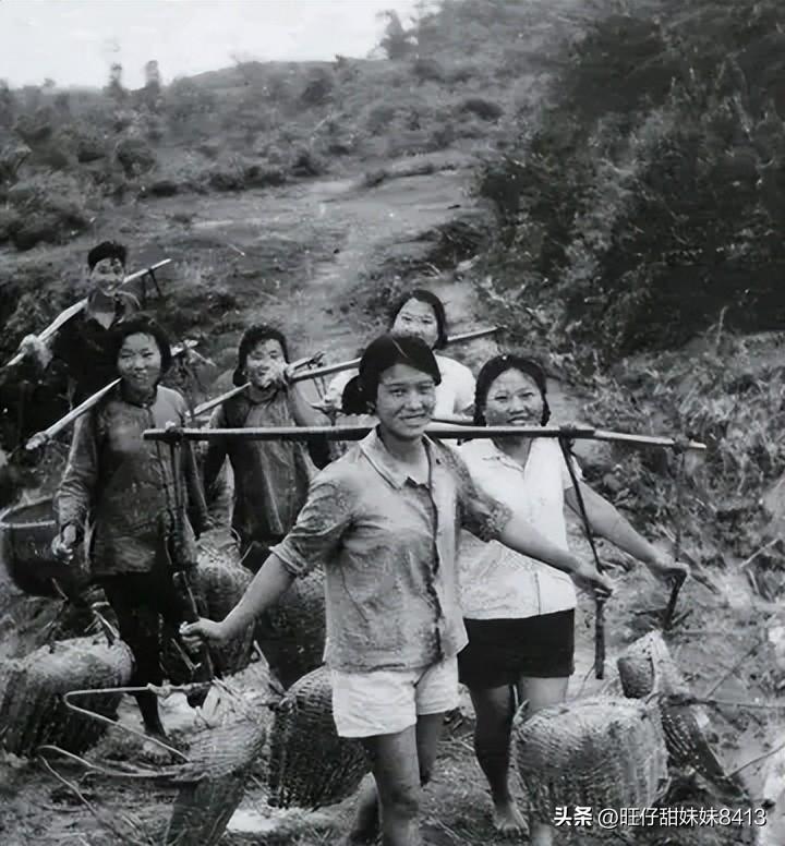 免費(fèi)下載49圖庫，海量美圖資源一網(wǎng)打盡，海量美圖資源免費(fèi)下載，49圖庫一網(wǎng)打盡