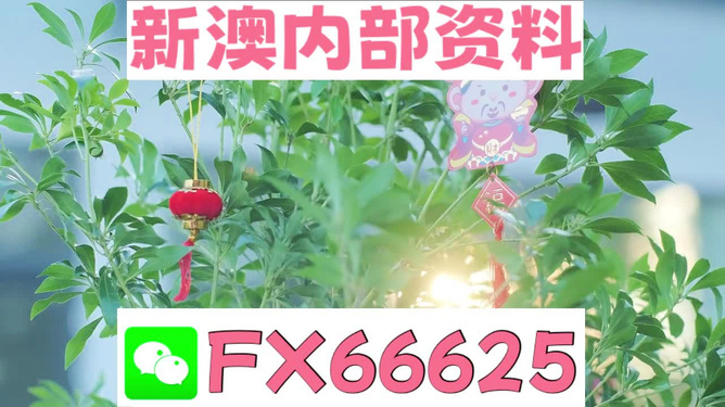 新澳精準(zhǔn)資料免費(fèi)提供網(wǎng)站，新澳精準(zhǔn)資料免費(fèi)分享平臺(tái)