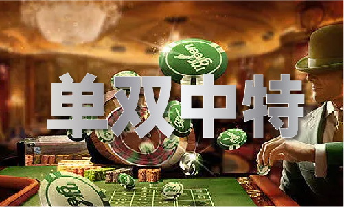 2025年概覽