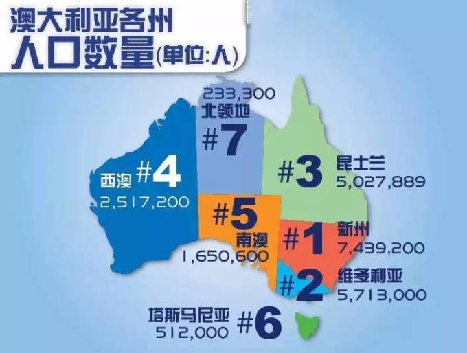 新澳2025年一肖一馬中特，新澳2025年一肖一馬中特預(yù)測(cè)與解析