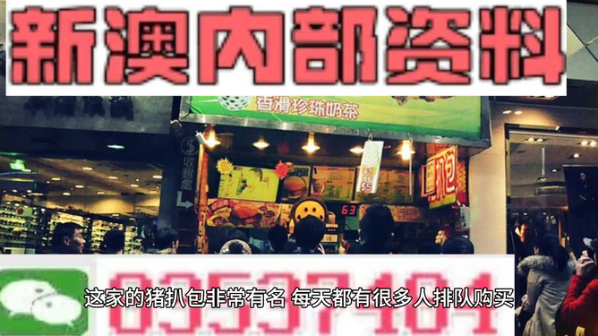 2025新澳精準(zhǔn)資料大全解釋，2025新澳精準(zhǔn)資料大全詳解