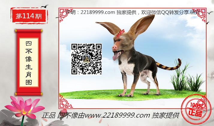 四不像正版資料，四不像正版資料詳解