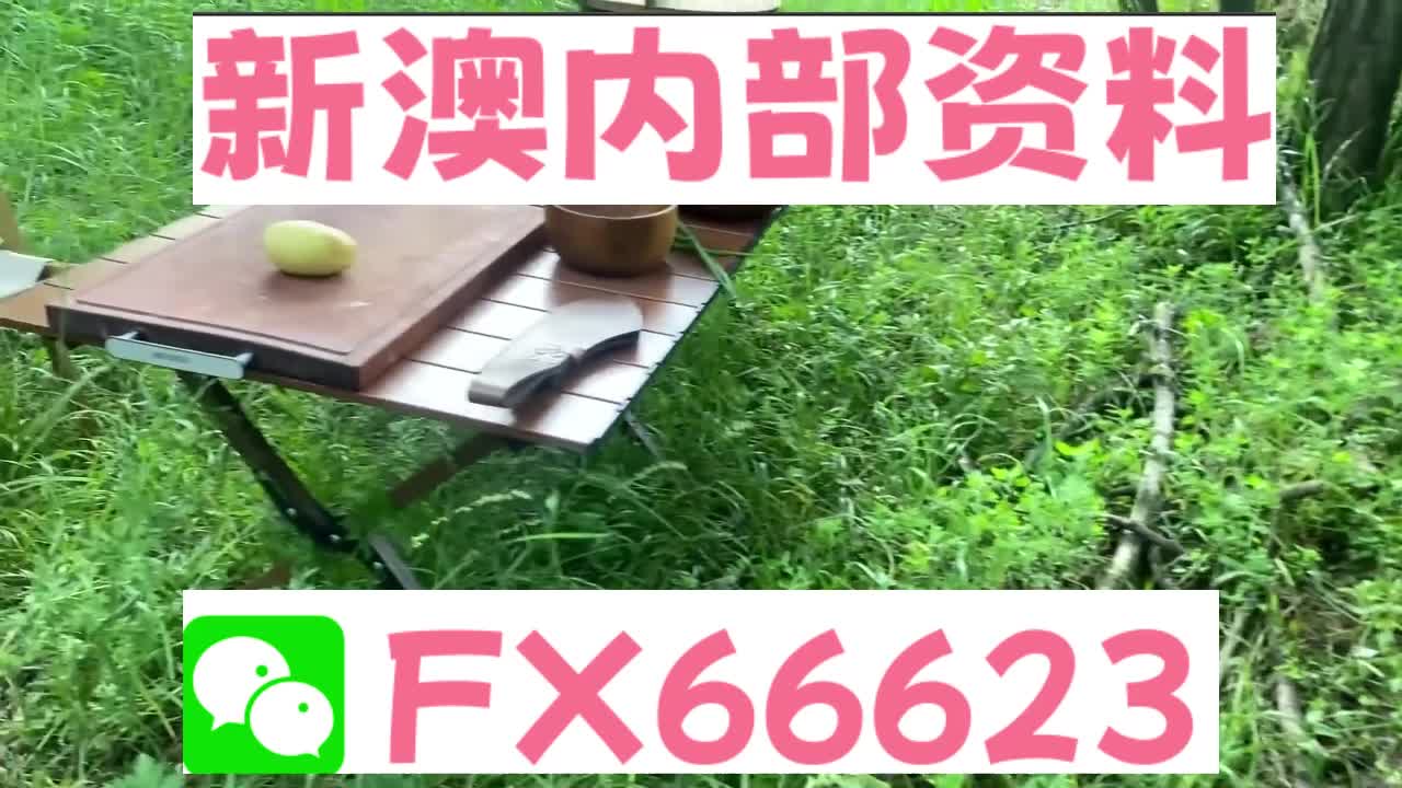 2025新澳精準(zhǔn)資料大全解釋，2025新澳精準(zhǔn)資料大全詳解