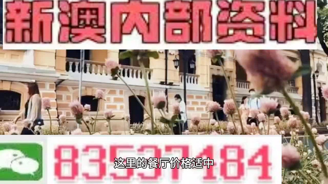 澳門最精準(zhǔn)免費資料大全旅游團，一站式旅游指南，澳門旅游團一站式指南，最精準(zhǔn)免費資料大全