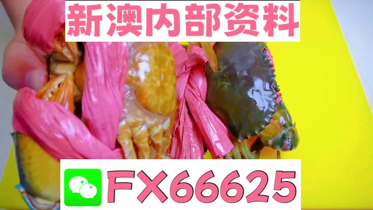 『揭秘2025新澳精準(zhǔn)資料大全解釋』，洞悉未來趨勢與機(jī)遇，揭秘2025新澳精準(zhǔn)資料大全解釋，洞悉未來趨勢與機(jī)遇的權(quán)威指南