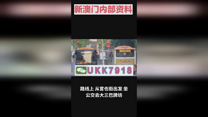 2025年澳門特馬今晚號碼——熱門話題下的理性探討，澳門特馬號碼預(yù)測，理性探討下的熱門話題