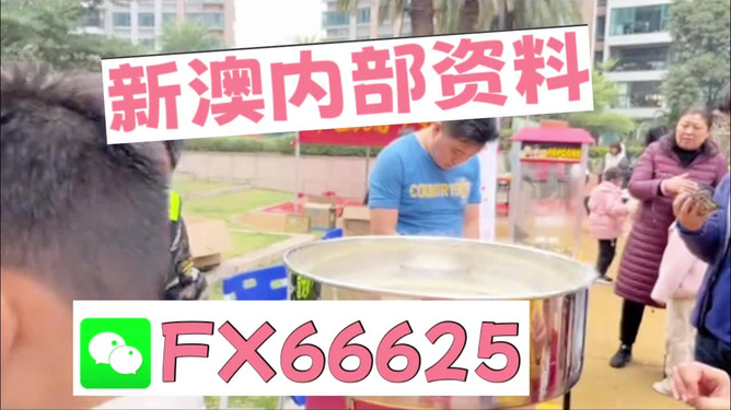 澳門正版免費全年資料大全旅游團，探索澳門之旅的完美指南，澳門旅游團指南，正版免費全年資料大全，探索澳門之旅的完美選擇