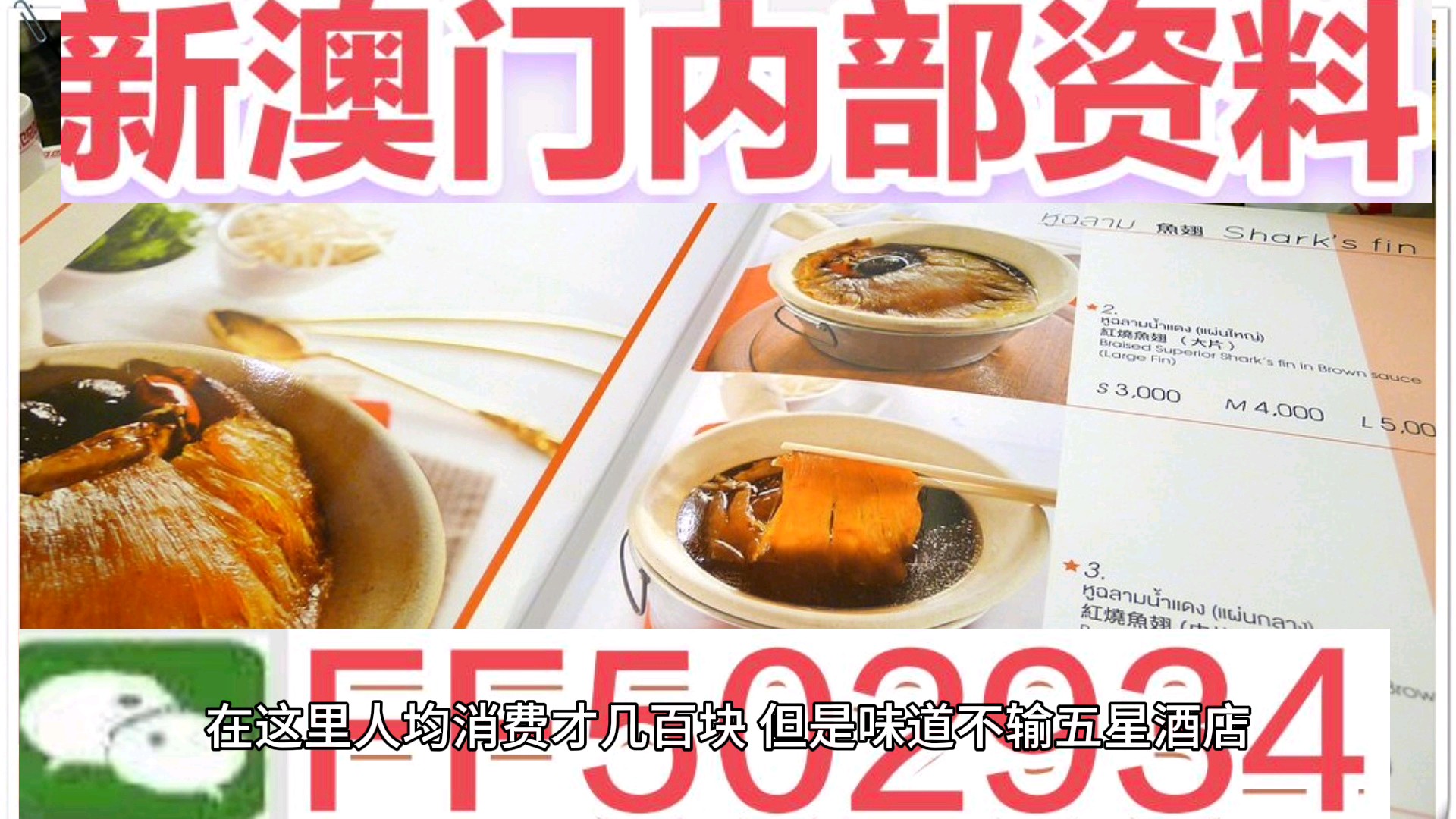 2025新澳門彩歷史記錄，澳門彩歷史記錄回顧，揭秘新澳門彩歷史記錄至2025年