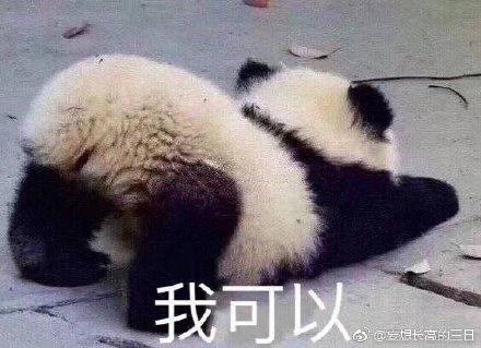 澳門四不像今晚的圖，澳門四不像今晚圖案揭秘