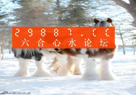 今晚必中一肖一碼四不像，揭秘彩票的神秘面紗，揭秘彩票神秘面紗，今晚必中一肖一碼四不像