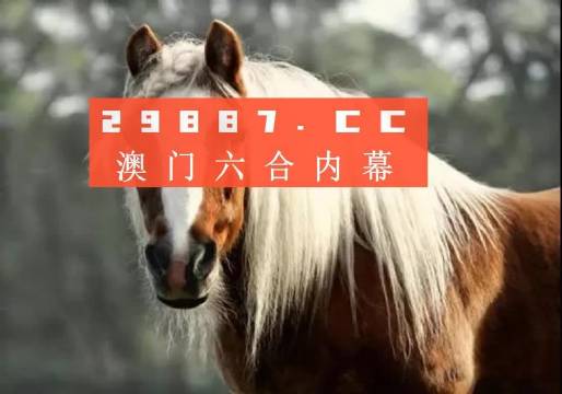 澳門今晚必中一肖一碼，揭秘彩票背后的秘密，澳門彩票秘密揭秘，今晚必中一肖一碼！