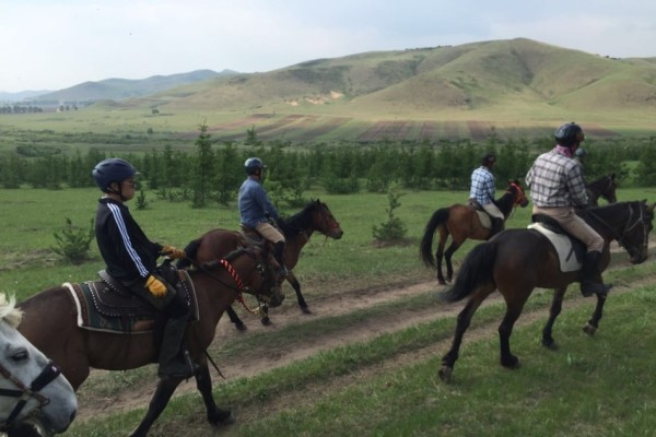 澳門今晚開特馬 開獎結(jié)果走勢圖，澳門特馬開獎結(jié)果及走勢圖分析