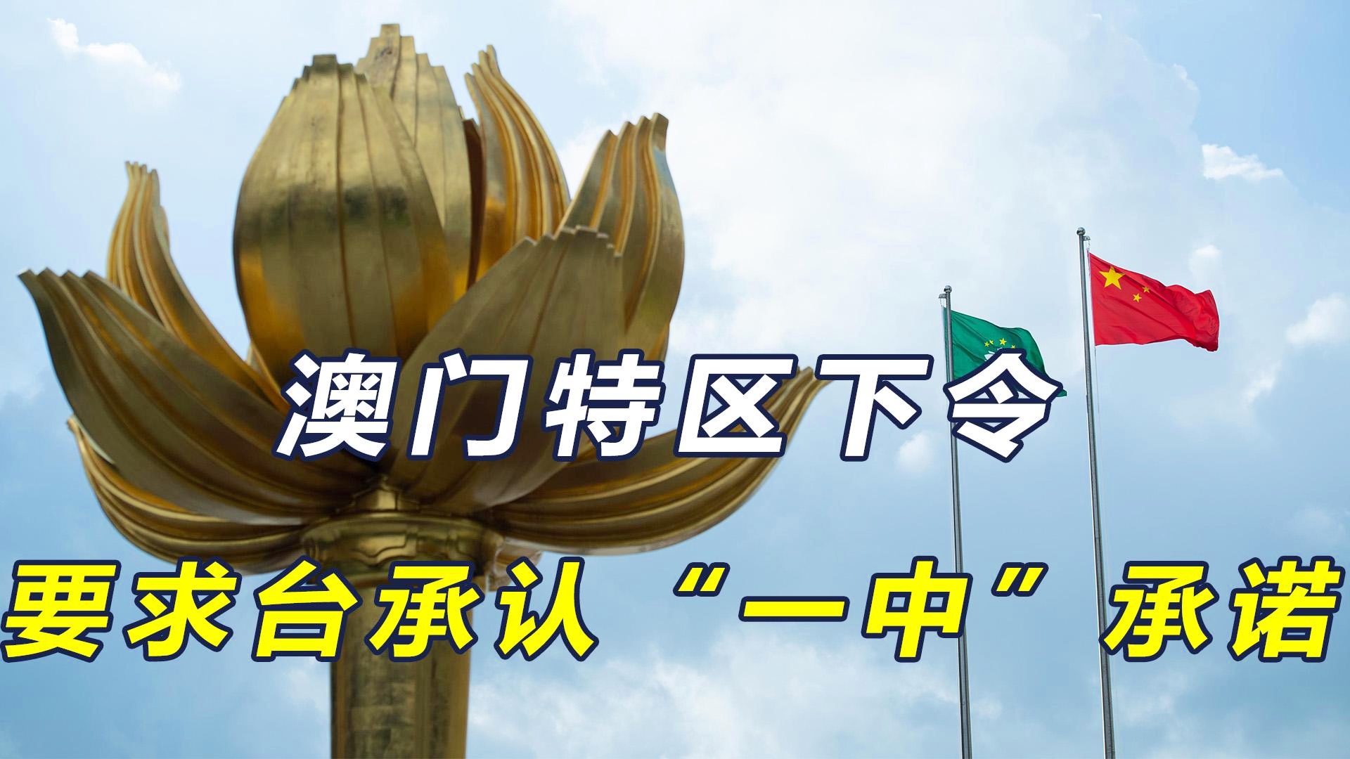 澳門一碼一肖一特一中直播結(jié)果，澳門直播結(jié)果揭曉，一碼一肖一特一中特輯