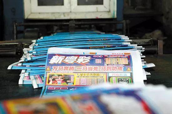 新粵門六舍彩資料正版，新粵門六舍彩正版資料解析