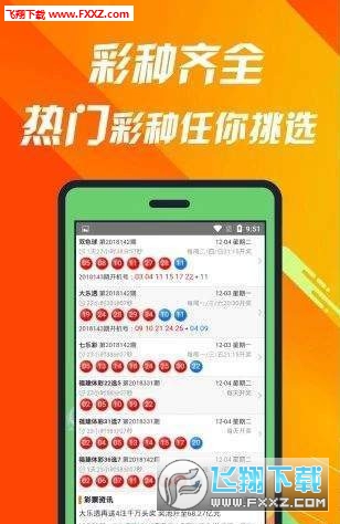 王中王493333中特大全，王中王493333中特大全揭曉