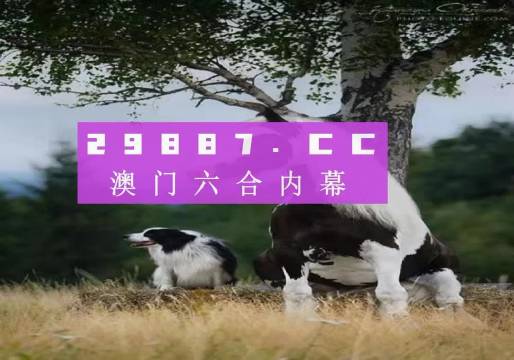 探索未來之門，2025今晚澳門跑狗圖揭秘，探索未來之門，揭秘澳門跑狗圖預(yù)測未來趨勢