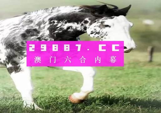 三肖一碼，三肖一碼揭秘