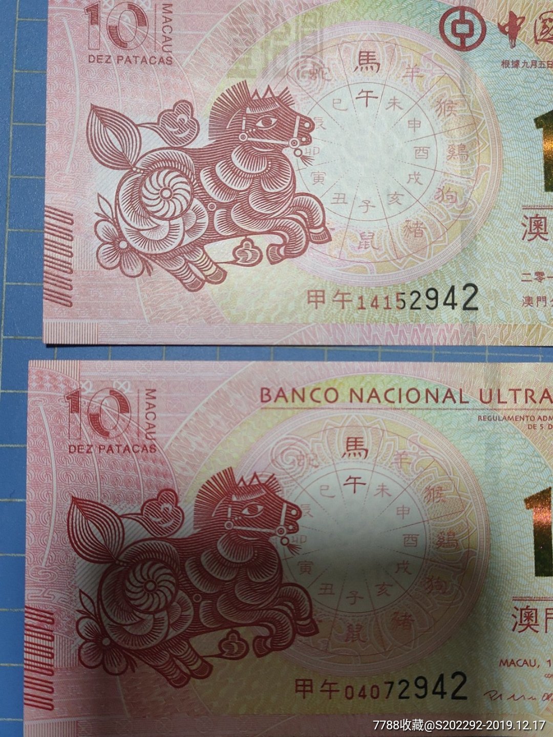澳門馬的十二生肖是什么？帶你一探究竟，澳門馬的十二生肖揭秘，一探究竟