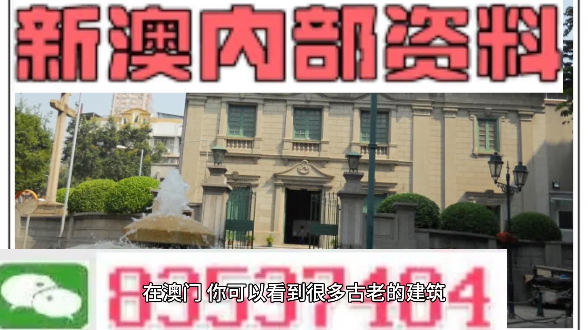 新澳門資料大全最新版本更新內(nèi)容，澳門最新資料大全，更新內(nèi)容概覽
