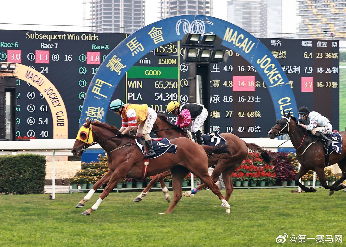 香港內(nèi)部馬料免費論壇，香港內(nèi)部馬料論壇揭秘
